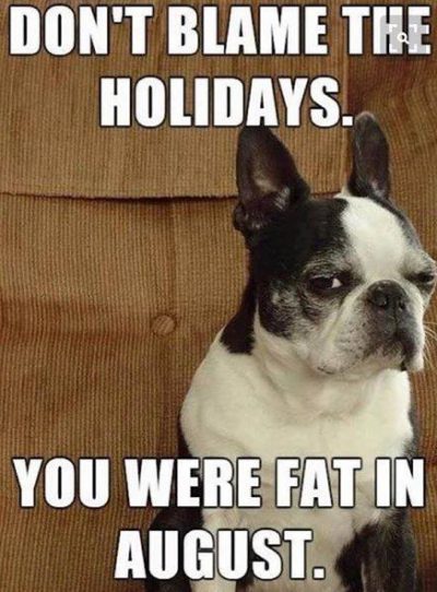 holiday-memes-001-dont-blame-the-holidays-you-were-fat-in-august