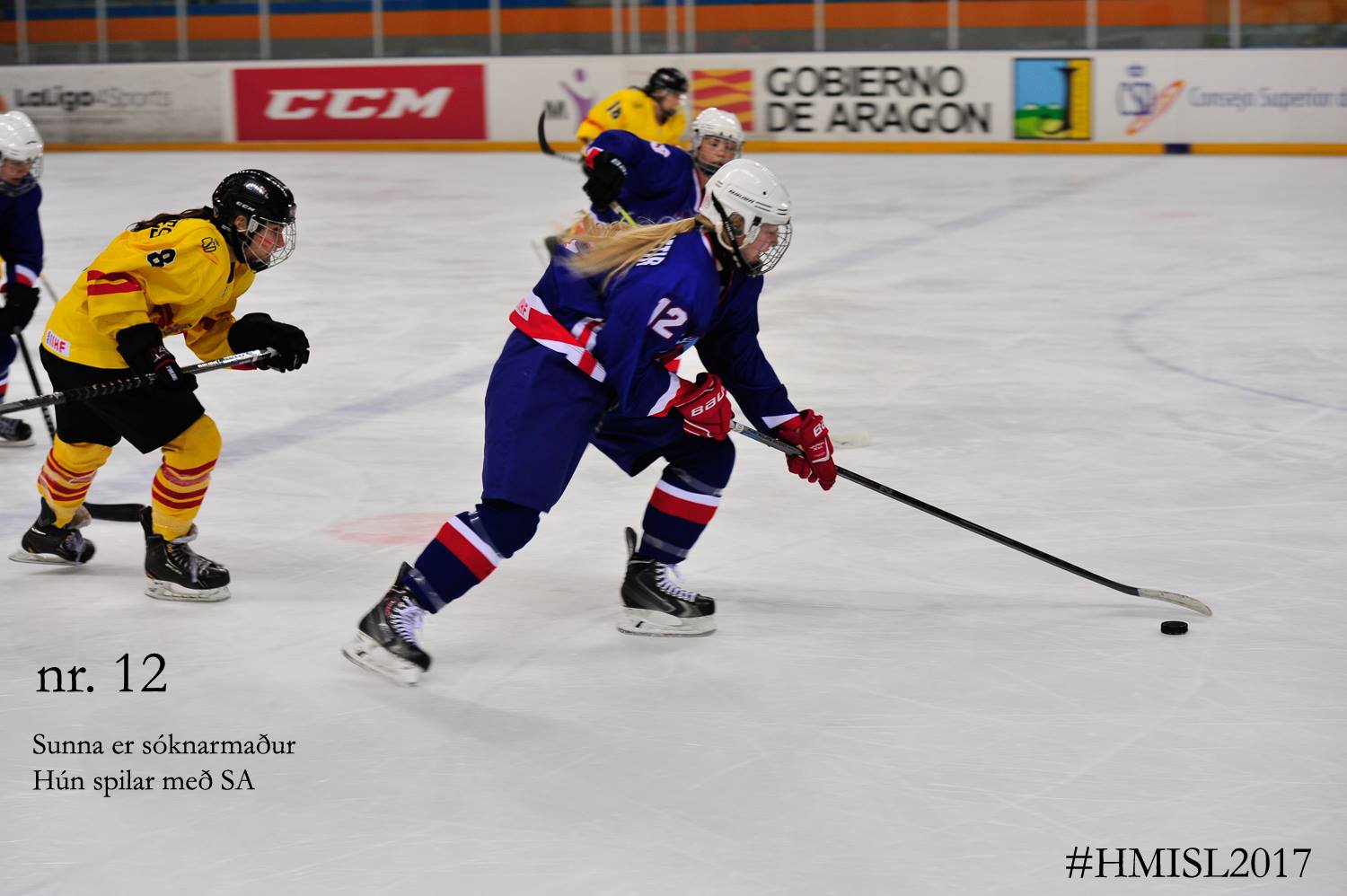 Ísland lagði Nýja-Sjáland í lokaundirbúningi fyrir HM