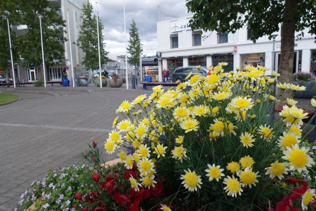 Hvetja bæjarbúa til að hreinsa til í bænum