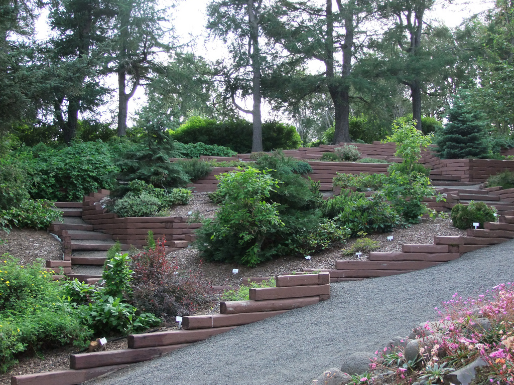 Frjókorn tvöfalt fleiri á árinu en síðastliðin ár