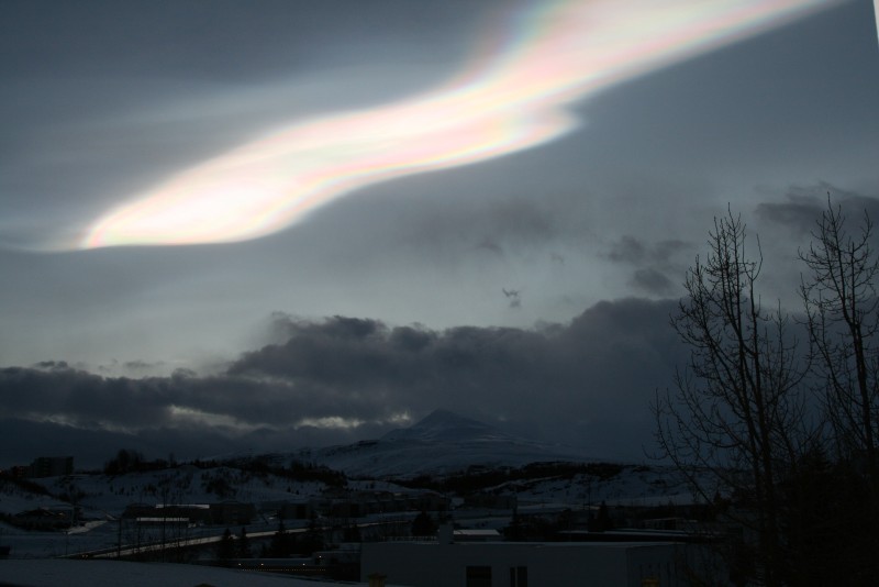Gefa út lag til minningar um Jenný Lilju Gefa út lag til minningar um Jenný Lilju