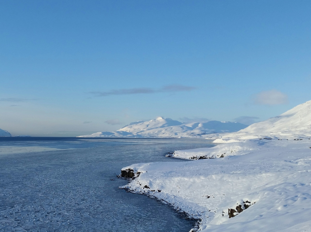 Grýtubakkahreppur auglýsir eftir samstarfsaðila til uppbyggingar ferðaþjónustu í sveitarfélaginu Grýtubakkahreppur auglýsir eftir samstarfsaðila til uppbyggingar ferðaþjónustu í sveitarfélaginu