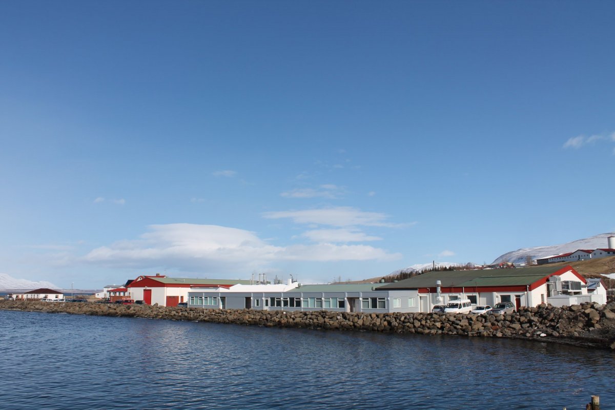 Samruni Kjarnafæðis og Norðlenska Samruni Kjarnafæðis og Norðlenska