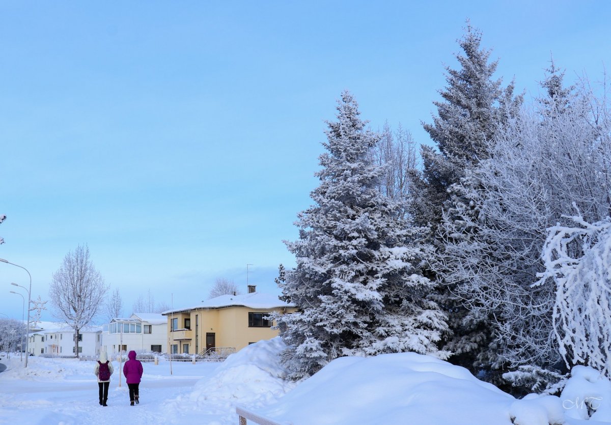Samræmd þjónusta við flóttafólk á Akureyri Samræmd þjónusta við flóttafólk á Akureyri