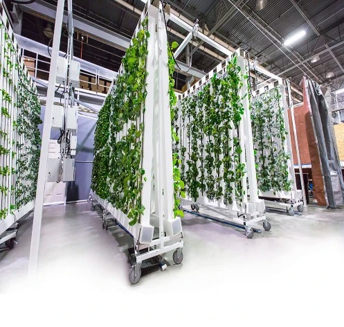 Opna kálver á Akureyri: „Snýst um að gera starfsemi hótelsins sjálfbærari“ Opna kálver á Akureyri: „Snýst um að gera starfsemi hótelsins sjálfbærari“