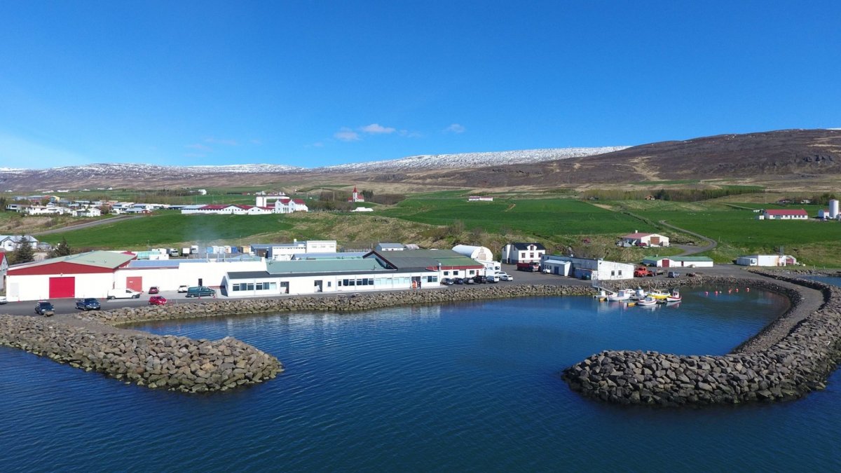 Skilyrði fyrir samruna Kjarnafæðis, Norðlenska og SAH uppfyllt Skilyrði fyrir samruna Kjarnafæðis, Norðlenska og SAH uppfyllt