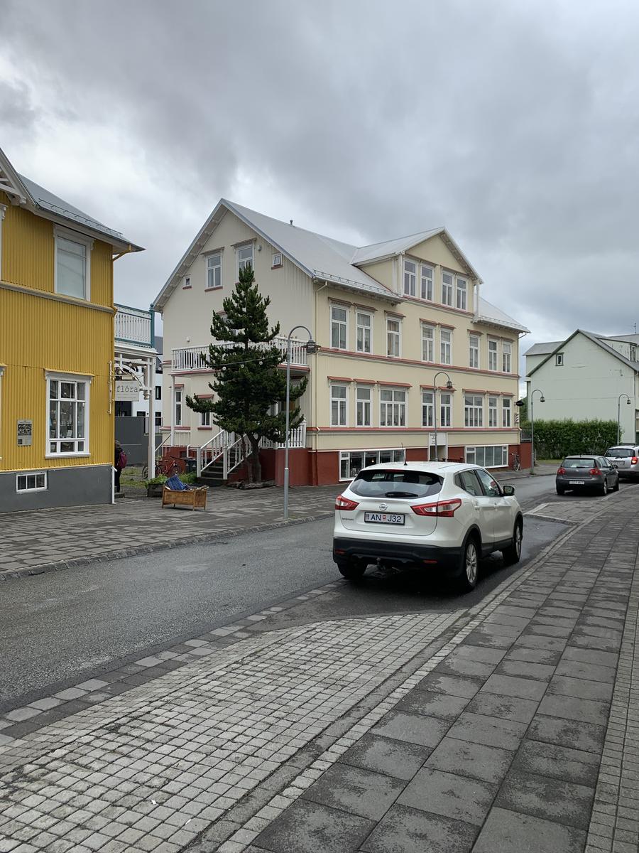 Stal bíl í morgun og reyndi að stinga lögreglu af á hlaupum