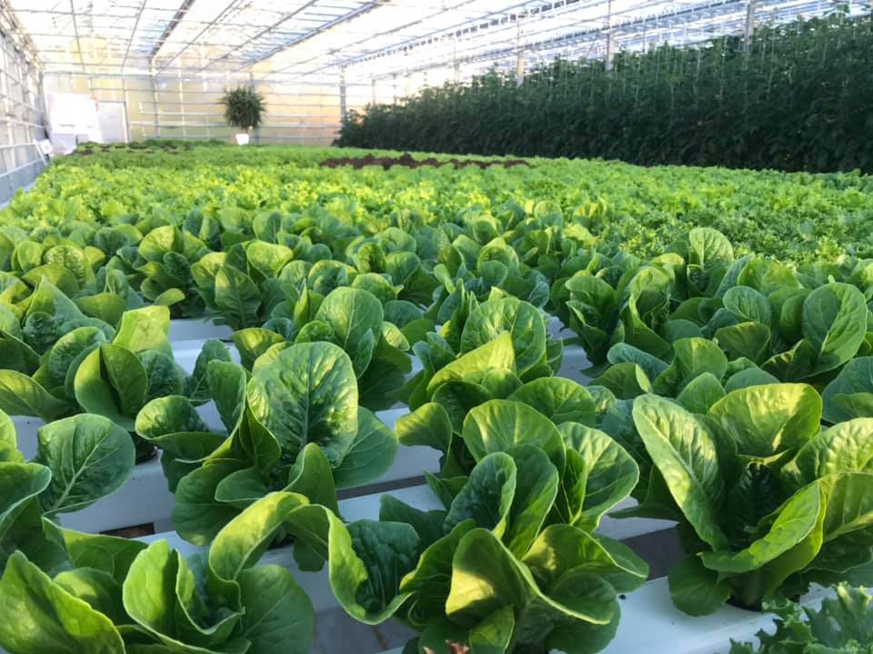 Fá rými til að vaxa á Norðurlandi