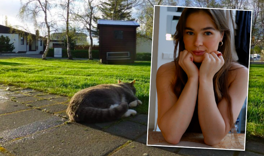 Stóri, feiti kötturinn sem elti og lék við alla krakkana sem bjuggu í Norðurbyggð