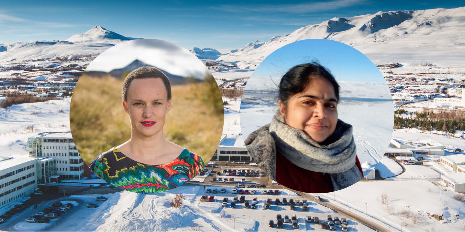 Sérfræðingar við Háskólann á Akureyri gefa út ný rit Sérfræðingar við Háskólann á Akureyri gefa út ný rit