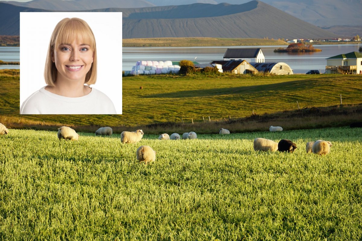 Styrkur úr Byggðarannsóknasjóði til að rannsaka líðan bænda Styrkur úr Byggðarannsóknasjóði til að rannsaka líðan bænda