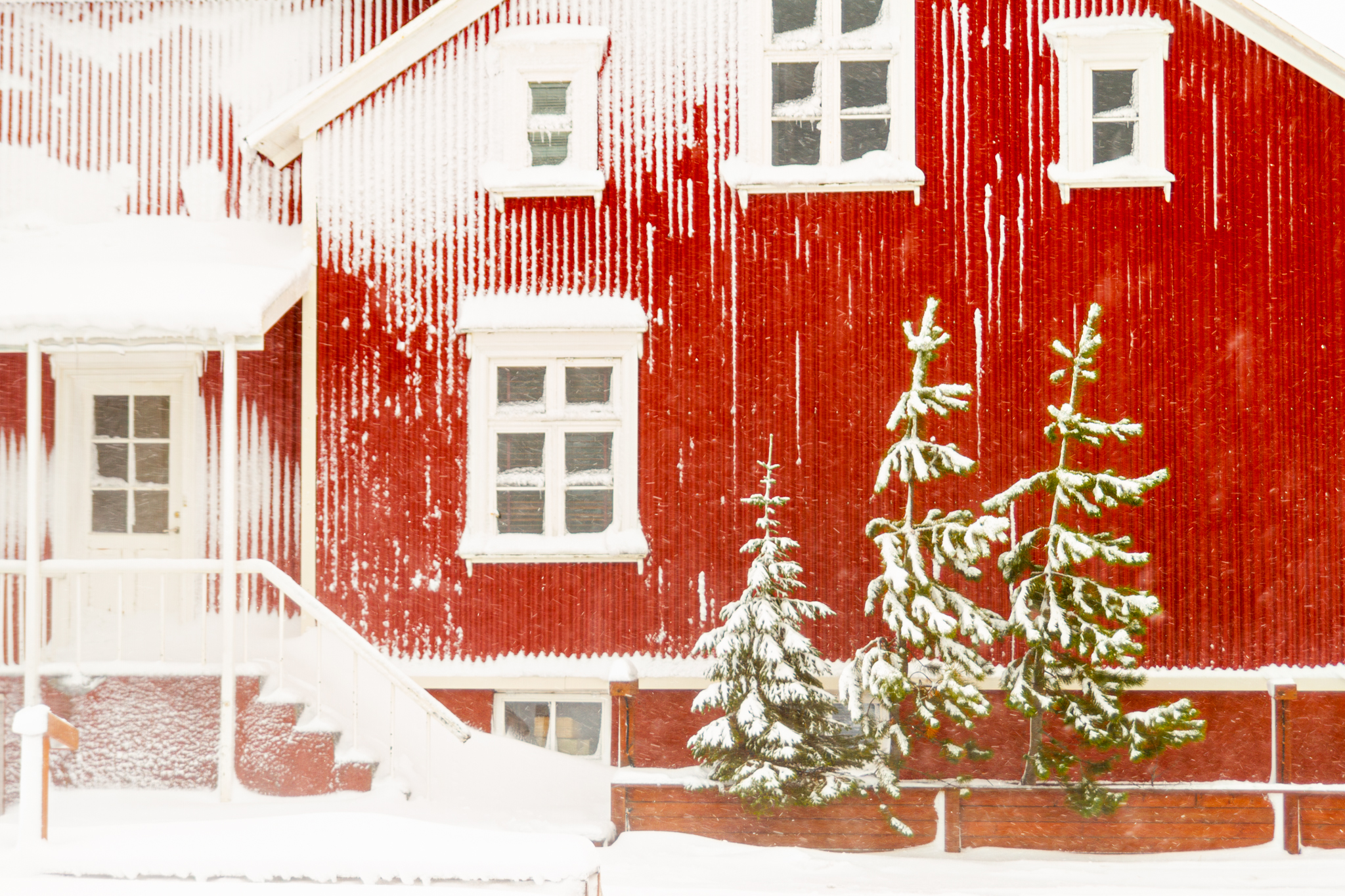 Tólfta sýning Álfkvenna í Lystigarðinum Tólfta sýning Álfkvenna í Lystigarðinum