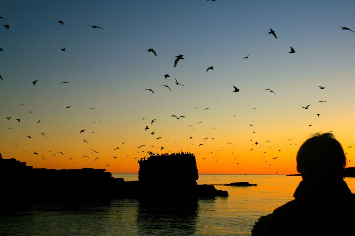 Sólstöðuhátíðin í Grímsey hefst í dag Sólstöðuhátíðin í Grímsey hefst í dag