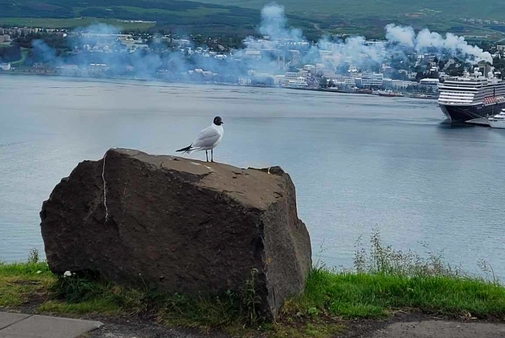 Reykmengun í Eyjafirði Reykmengun í Eyjafirði