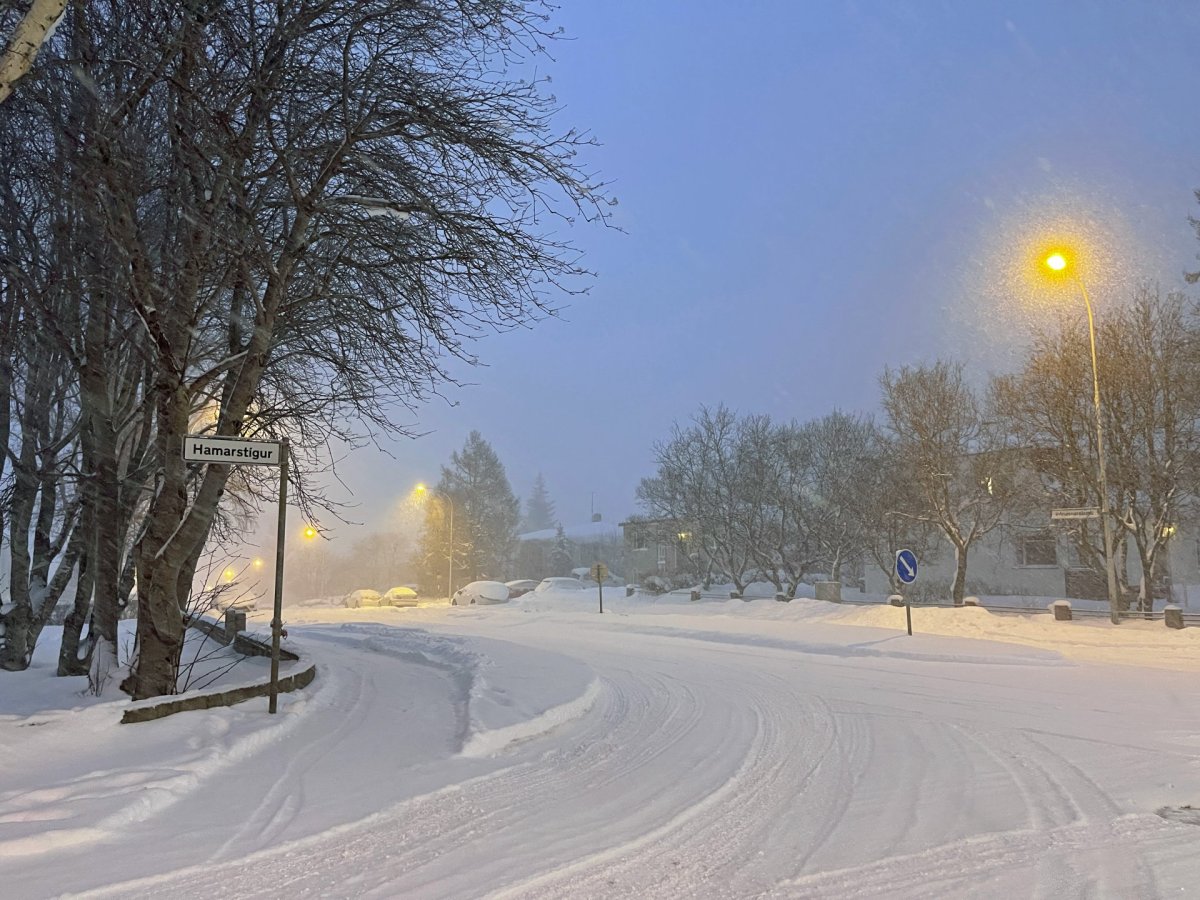 „Allir eru að gera sitt besta“