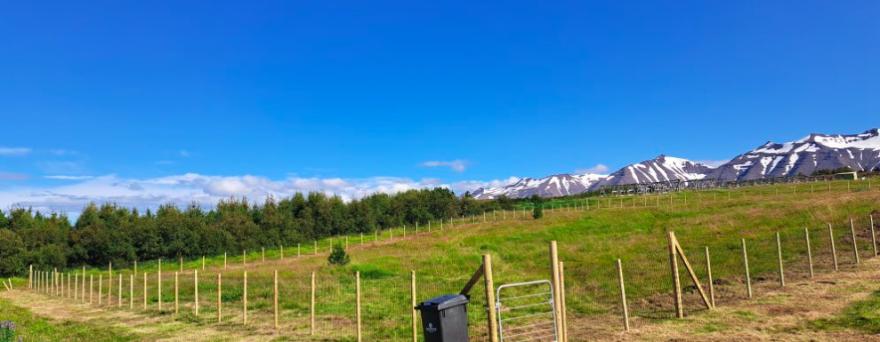 Hundagerði sett upp í Hrísey