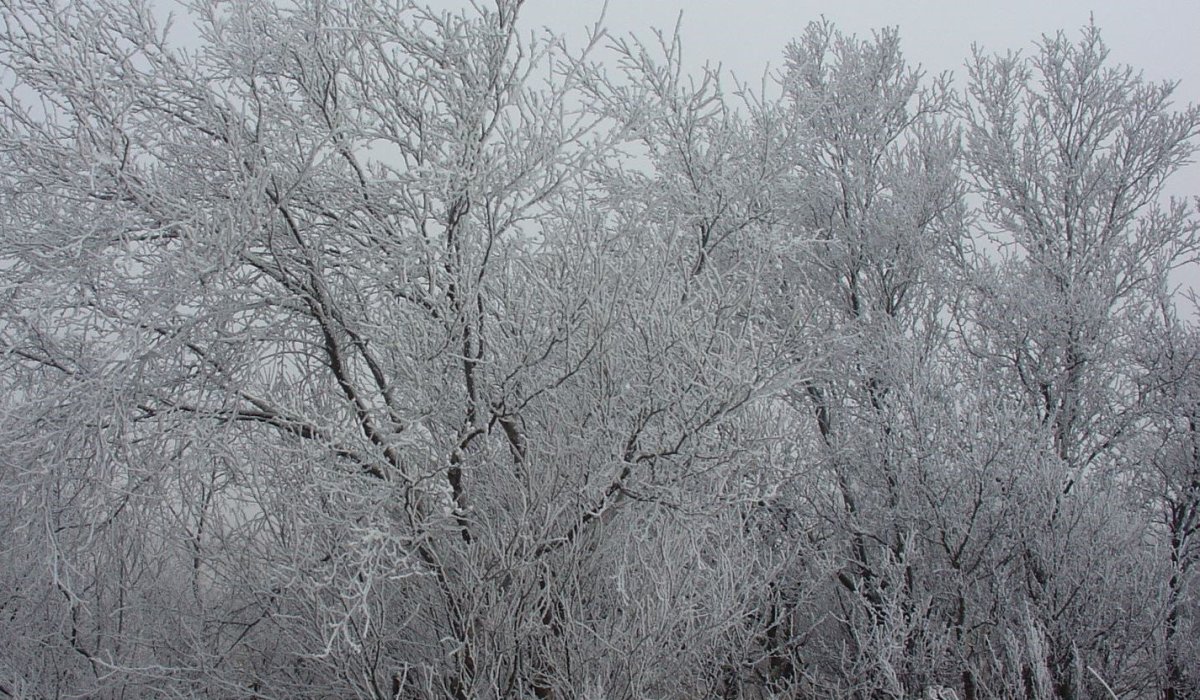 Reikna með miklu álagi á hitaveitukerfið