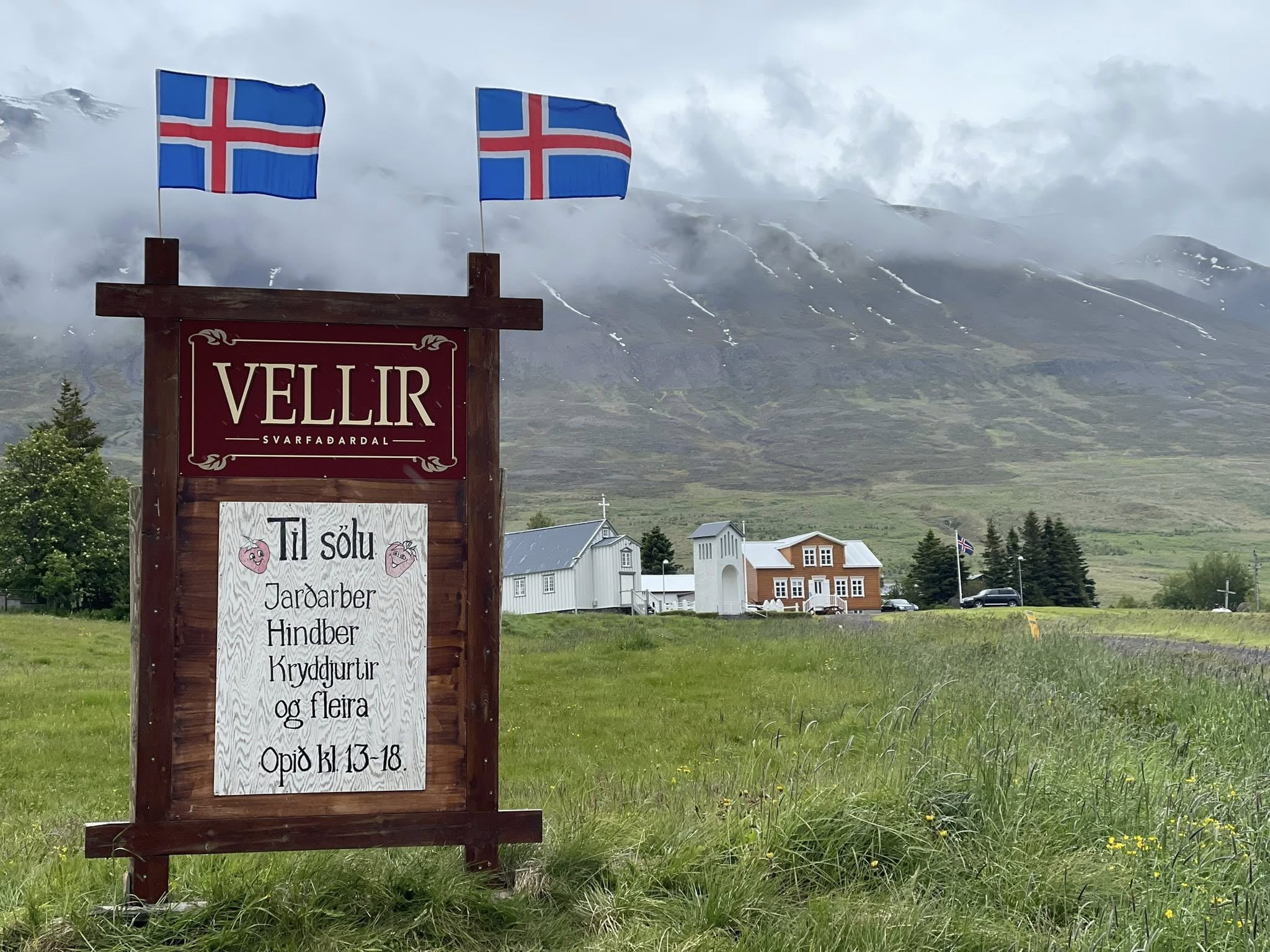 Beint frá býli dagurinn haldinn í þriðja sinn Beint frá býli dagurinn haldinn í þriðja sinn