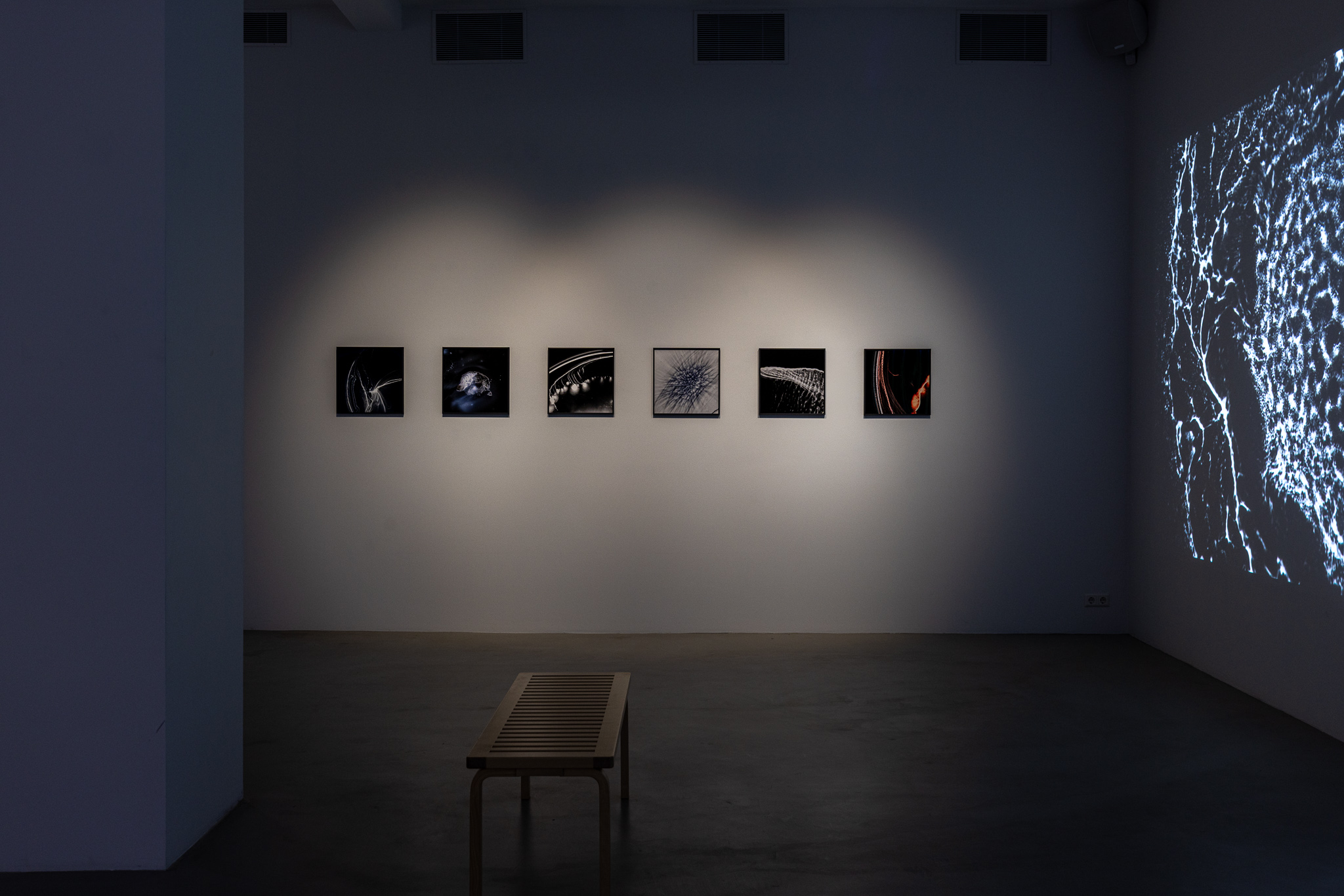 Listasafnið á Akureyri: Síðustu dagar sýninga Heimis Hlöðverssonar og Þóru Sigurðardóttur 