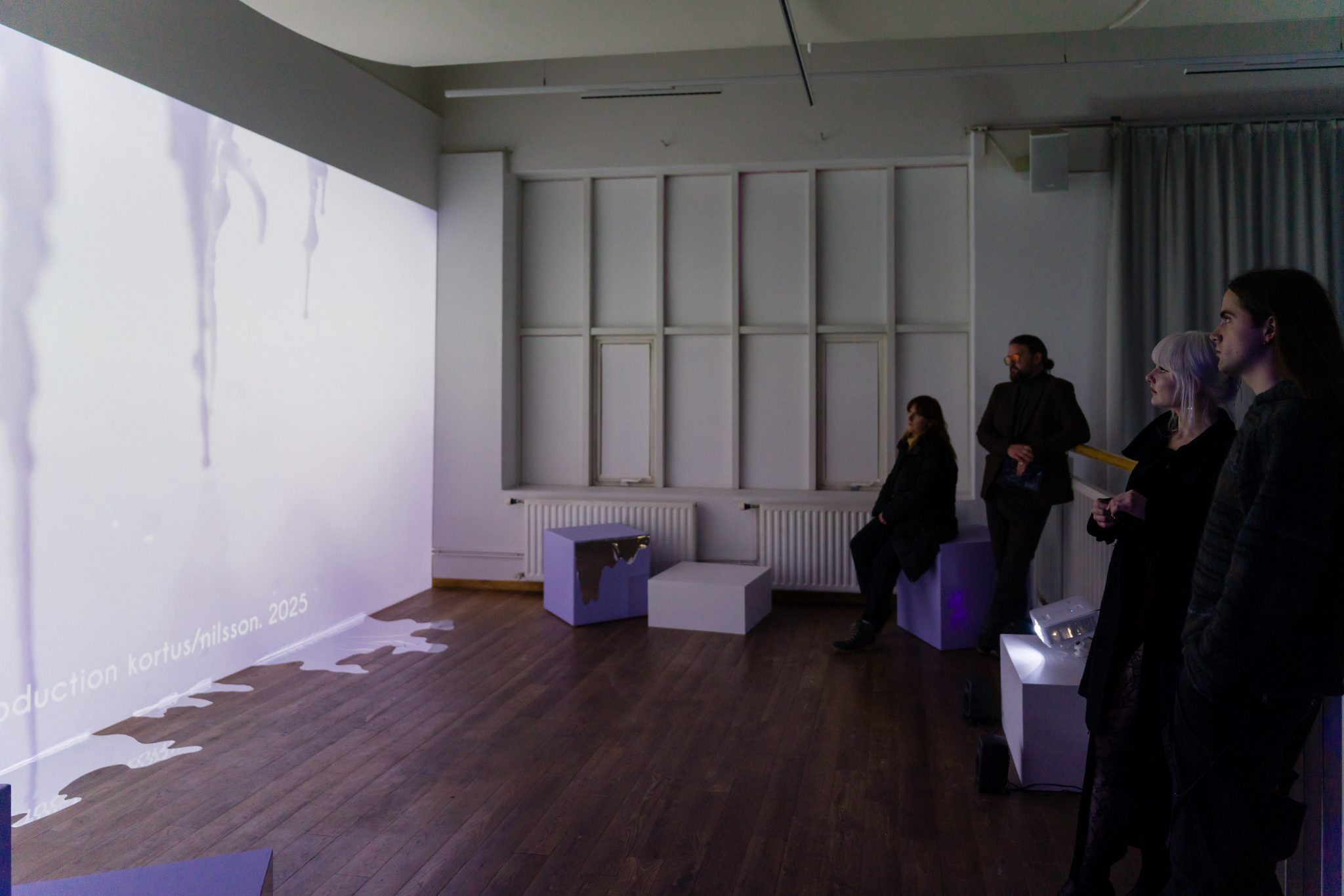 Afar vel heppnuð opnunarhelgi Boreal Screendance Festival