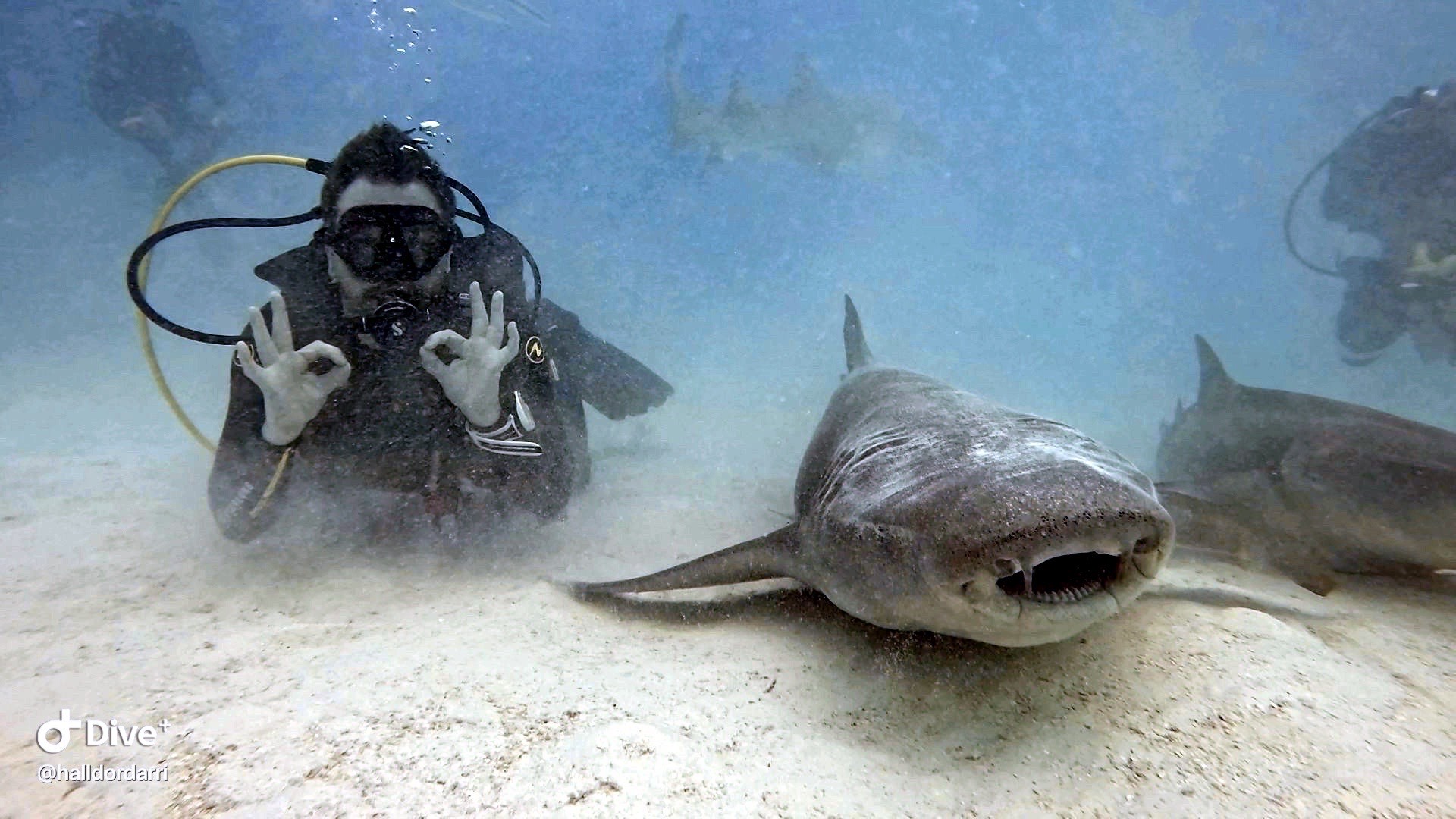„Ég hafði litlar væntingar aðrar en að ég myndi kannski læra að fylla út skattaskýrsluna mína betur“