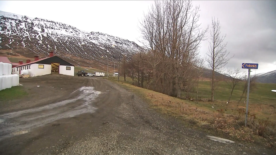 Tókst að bjarga 150 gripum úr fjósi