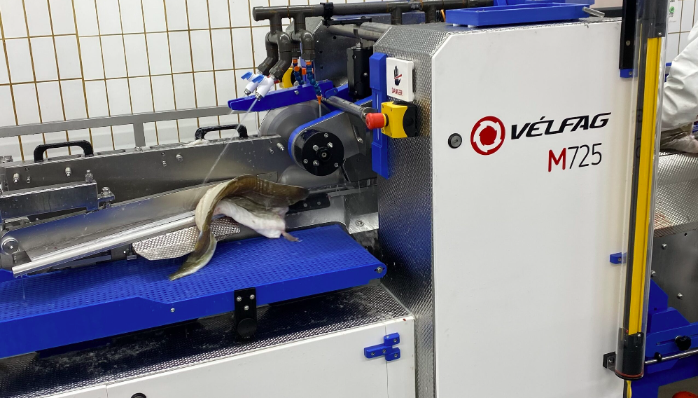 Starfsemi Vélfags stöðvuð tímabundið Starfsemi Vélfags stöðvuð tímabundið