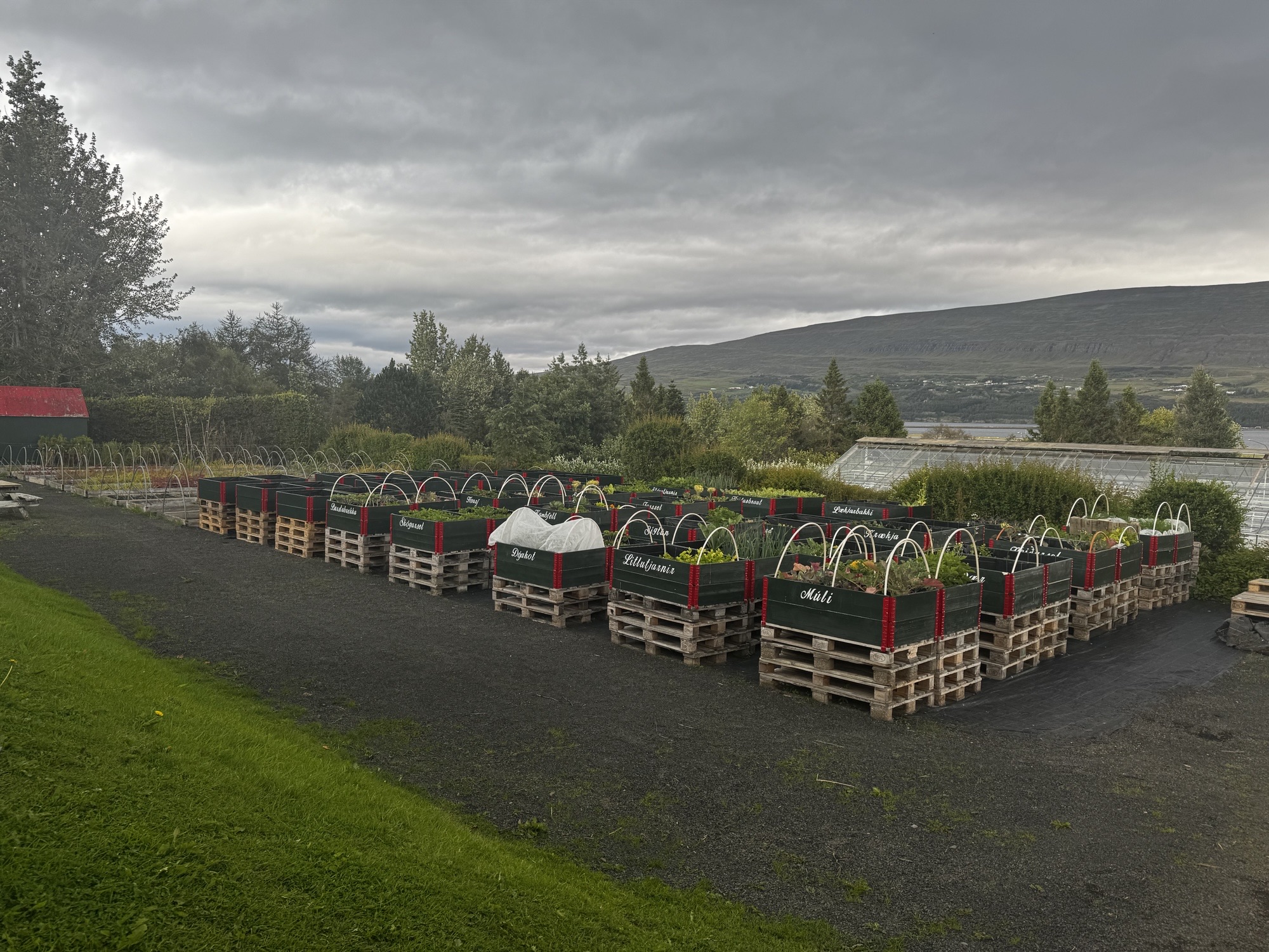 Upphækkuð beð fyrir þau sem eiga erfitt með að krjúpa Upphækkuð beð fyrir þau sem eiga erfitt með að krjúpa